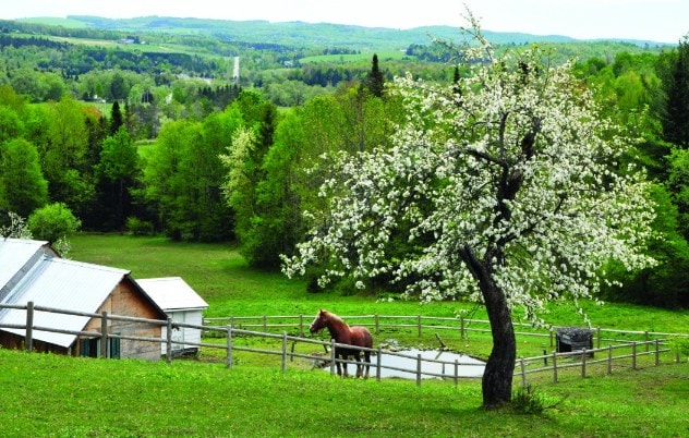 Lac Memphrémagog